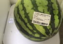 【產(chǎn)地直采】麒麟奶油西瓜1粒4kg 曬單實(shí)拍圖