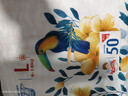 艾薇兒Alvin經(jīng)典輕柔觸感紙尿褲XL碼40片透氣柔軟親膚尿不濕夏季超薄 曬單實(shí)拍圖