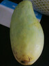 四川攀枝花凱特芒果新鮮水果云南當(dāng)季特大香甜青忙果當(dāng)季整箱包郵 凈重8.5斤中果【單果350g+】 曬單實(shí)拍圖