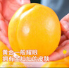 京地達(dá)丹東黃桃黃油桃 凈含量5斤單果250g桃子黃金蜜桃應(yīng)季源頭直發(fā)包郵 曬單實(shí)拍圖