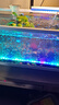 勝畫納米氣泡魚缸led增氧防水燈七彩變色增艷專用觀賞氣泡潛水照明燈 46cm 七彩漸變色款+氣泵套餐 曬單實(shí)拍圖