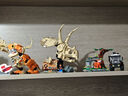 樂高（LEGO）積木拼裝侏羅紀(jì)世界76969 三角龍頭骨男孩女孩兒童玩具生日禮物 曬單實(shí)拍圖