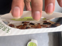 綠鼻子 GREENNOSE蟑螂屋捕捉大小強無(wú)毒廚房滅蟑螂藥6片裝 曬單實(shí)拍圖
