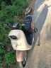 綠源（Luyuan）電動(dòng)摩托車MODA C2 長續(xù)航電摩60V20Ah鉛酸 通勤代步高速長跑電動(dòng)車 暖棕【前碟剎+NFC刷卡解鎖】 曬單實(shí)拍圖