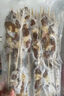 鮮京采內(nèi)蒙古孜然羊肉串凈重2斤 （50串）露營戶外燒烤 京東自有品牌 曬單實拍圖