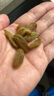樓蘭蜜語(yǔ)大顆綠香妃葡萄干280g/罐  香妃葡萄干系列 零食 蜜餞果干 葡萄  曬單實(shí)拍圖