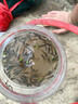 抓魚(yú)神器捕魚(yú)小溪捉魚(yú)撈魚(yú)兒童戶(hù)外塑料抓小魚(yú)工具倒須抓魚(yú)瓶全套 大號(hào)抓魚(yú)瓶 +12米拉繩+2包餌料+地插 曬單實(shí)拍圖