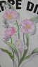 太平鳥女裝T恤張風(fēng)野聯(lián)名萊賽爾亞麻短袖夏季印花上衣 白色 M 曬單實(shí)拍圖
