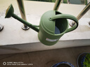 愛麗思（IRIS）灑水器水壺園藝工具簡約花草樹脂塑料噴壺大容量園藝噴水壺 綠色 帶噴頭 3.6L 曬單實(shí)拍圖