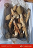 2025新鮮野生雞樅菌新鮮荔枝菌夏至菌三塔菌火把雞樅云南雞樅菌 精品不開傘【野生雞樅菌】500克 曬單實(shí)拍圖