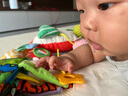 jollybaby 寶寶布書0-12-18個月嬰兒玩具早教撕不爛可水洗 布書大集合禮盒 曬單實拍圖