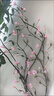 勤凱仿真藤蔓藤條玉蘭花店鋪婚慶造景花藤掛墻樹(shù)藤塑料花櫥窗裝飾 乳白色玉蘭花藤1.6米24朵花 曬單實(shí)拍圖