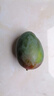【新鮮上市】正宗攀枝花凱特芒果新鮮水果 帶箱2斤200g+ 曬單實拍圖