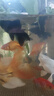 百綸木千金魚觀賞魚鴻運當頭金魚不加溫好養(yǎng)獅子頭活體冷水魚招財魚丹頂紅 （大號）招財三寶各3條 7-10cm 曬單實拍圖