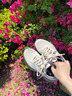 索康尼（SAUCONY）威途 2跑步鞋男女緩震回彈公路支撐跑鞋通勤健身訓(xùn)練透氣運(yùn)動(dòng)鞋 淺灰3【情侶款】 42 曬單實(shí)拍圖