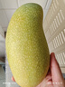 春福樂 海南三亞金煌芒【順豐/送貨上門】現(xiàn)摘大芒果新鮮水果禮盒裝 特大果5斤丨果農(nóng)精選丨單果700g+ 空運(yùn)精品果【多地區(qū)次日達(dá)】 曬單實(shí)拍圖