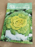 壽禾 黃心菜烏塌菜種子種苗耐寒秋季黃心烏蔬菜種籽 黃心菜種子25g 曬單實(shí)拍圖