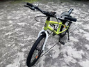 鳳凰兒童自行車3-6-8-10-12到15歲男女孩單車自行車2025新款單車 歐碧綠【單速輻條輪】99%裝+碟剎 20寸【建議身高130-150cm】 曬單實拍圖