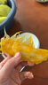 壹萌果蔬金煌芒芒果 當(dāng)季現(xiàn)摘廣西大芒果新鮮水果青皮芒果整箱送禮 9斤精品【單果150g+】 凈8斤 曬單實(shí)拍圖