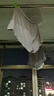 宜而爽【高檔120支】純棉阿羅褲男士內(nèi)褲中腰寬松平角睡褲男情人節(jié)禮物 曬單實(shí)拍圖