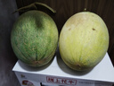 京鮮生 甘肅民勤沙漠蜜瓜 哈密瓜 凈重8-9斤 2-3個裝 單果2斤+ 源頭直發(fā) 曬單實(shí)拍圖