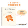 【當(dāng)當(dāng)】一片葉子落下來 曬單實(shí)拍圖