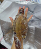 舟山梭子蟹鮮活特大野生大螃蟹新鮮冷凍海鮮水產(chǎn)海蟹飛蟹白蟹順豐 9兩以上/只【5斤凈重 超大肥美】 曬單實(shí)拍圖