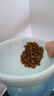 樂優(yōu)派貓碗陶瓷狗碗貓食盆狗盆寵物碗貓糧碗高腳防打翻貓咪用品 漸變藍 曬單實拍圖