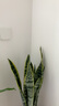 蘭舍（DIATOMMUDLANSHE）半碧江山液體硅藻泥墻面漆內(nèi)墻涂料水性硅藻泥凈化甲醛防霉防潮 5L（白色） 曬單實拍圖