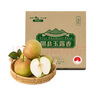 隰縣玉露香梨 【順豐】整箱香梨當(dāng)季水果山西隰縣小西天特產(chǎn) 孕婦水果送禮 9粒特大果（凈重約7斤）90+mm 曬單實(shí)拍圖