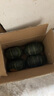 佳農(nóng)寶菜 山東寶栗南瓜凈重5斤3-6頭單果約400g+爆粉 源頭直發(fā) 曬單實拍圖