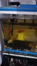 清道夫魚(yú)活體淡水清潔魚(yú)缸魚(yú) 魚(yú)缸清潔工熱帶魚(yú)觀(guān)賞魚(yú)吃垃圾 8-10cm【黑+黃】各1條 曬單實(shí)拍圖