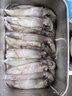 寓島碼頭海兔 滿(mǎn)籽新鮮筆管魚(yú)大號真籽海兔鮮活冷凍帶籽筆管魚(yú)籽烏魷魚(yú) 海兔4盒2斤凈重/盒天 2斤(凈重) 曬單實(shí)拍圖