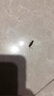 COODORA臭蟲藥殺蟲劑床上吸血蟲專用藥除床虱噴霧宿舍家用隱翅蟲跳蚤克星 曬單實拍圖