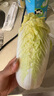 甜心小娃娃菜550g 曬單實拍圖