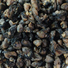 生曬牡蠣干生蠔干貨海蠣子蠔豉無沙干海鮮產(chǎn)品干貨非特級(jí)特大批發(fā) 0.5斤（200-250頭/斤） 曬單實(shí)拍圖