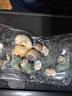 星舵寄居蟹殼卷貝魚替換專用殼天然海螺殼繁殖魚缸造景水族箱裝飾套裝 大號2-5cm，螺口1-3cm，約15個 曬單實拍圖