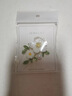 初享（CHUXIANG）新款小雛菊胸針百搭胸花別針森系可愛(ài)配飾花朵白貝殼日系配飾 小雛菊白貝殼胸針 A23-305 曬單實(shí)拍圖