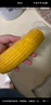 佳農(nóng) 內(nèi)蒙黃糯玉米棒8袋*220g 軟糯香甜 真空鎖鮮 源頭直發(fā) 禮盒包郵 曬單實(shí)拍圖