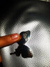 良品鋪?zhàn)尤溡慵t豆卷面包800g夾心手撕面包整箱學(xué)生營養(yǎng)早餐休閑零食 曬單實(shí)拍圖