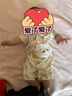 優(yōu)奇夏天嬰兒夏裝寶寶夏季衣服薄款3一6個(gè)月短袖連體衣半袖哈衣純棉女 曬單實(shí)拍圖