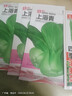 【種子大全】12種蔬菜種子四季菜種子陽臺盆栽綠植庭院易種春秋 菠菜+生菜+油麥菜+上海青每樣3包 曬單實拍圖