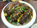 送父母長輩大連特產(chǎn)海參鮑魚禮盒山珍海味高檔滋補(bǔ)端午節(jié)送禮佳品 山珍海味【紅色四拼禮盒】120g 曬單實(shí)拍圖