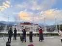 向晚發(fā)夾發(fā)卡法式抓夾女四葉草AB發(fā)夾女高級感發(fā)飾后腦勺盤發(fā)鯊魚夾子 曬單實拍圖