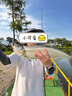 國王路亞餌幻影波爬水面系波鉛路亞假餌淡水翹嘴鱸魚仿生假擬餌 曬單實(shí)拍圖