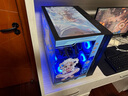 華碩追影i7 14700KF/Ultra7 265K/RTX5060Ti/5070/5070Ti/5080黑神話悟空直播游戲組裝AI臺式電腦主機(jī) 規(guī)格六丨i7 14700KF/RTX5070 曬單實拍圖