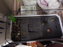 茨格曼烏龜生態(tài)缸特大號烏龜養殖箱養龜專(zhuān)用缸家用帶曬臺爬寵烏龜飼養箱 大號三層套餐【濾材+造景+水泵】 曬單實(shí)拍圖