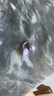 機(jī)樂(lè)堂oe3藍(lán)牙耳機(jī)耳夾式真無(wú)線骨傳導(dǎo)概念開(kāi)放式掛耳不入耳運(yùn)動(dòng)跑步通話降噪適用蘋果安卓小米華為 星辰紫【順豐速發(fā)】久戴不傷耳 曬單實(shí)拍圖