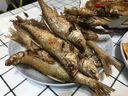 喆煒霸王捆浮釣底釣爆炸鉤捕魚網(wǎng)粘魚網(wǎng)拋網(wǎng)爆炸網(wǎng)捕魚釣魚網(wǎng)兜釣魚用 8目霸王捆網(wǎng)眼4X4cm 曬單實拍圖