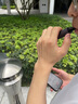 摩瑾鴨嘴獸口腔噴霧氣清新電子霧吸吐霧器可吸式薄荷智能可充電 陽(yáng)光青提【回憶無(wú)窮】33元 曬單實(shí)拍圖